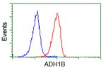 ADH1B Antibody in Flow Cytometry (Flow)