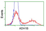 ADH1B Antibody in Flow Cytometry (Flow)