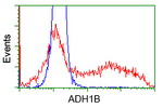 ADH1B Antibody in Flow Cytometry (Flow)