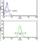 Alcohol Dehydrogenase 1B Antibody in Flow Cytometry (Flow)
