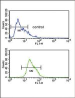 Alcohol Dehydrogenase 1C Antibody in Flow Cytometry (Flow)