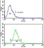 ADH6 Antibody in Flow Cytometry (Flow)