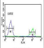 ADH7 Antibody in Flow Cytometry (Flow)