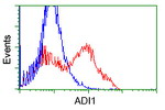 ADI1 Antibody in Flow Cytometry (Flow)