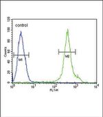 Adiponectin Receptor 2 Antibody in Flow Cytometry (Flow)