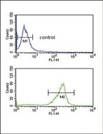 Adrenomedullin Antibody in Flow Cytometry (Flow)