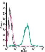 EphA2 (extracellular) Antibody in Flow Cytometry (Flow)