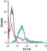 Ephrin-A2 (extracellular) Antibody in Flow Cytometry (Flow)