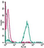 EMR1 (ADGRE1) (extracellular) Antibody in Flow Cytometry (Flow)