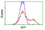 AFP Antibody in Flow Cytometry (Flow)