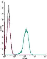 Frizzled-2 (FZD2) (extracellular) Antibody in Flow Cytometry (Flow)