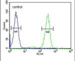 AFTPH Antibody in Flow Cytometry (Flow)