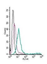 GABA(A) alpha 1 Receptor (extracellular) Antibody in Flow Cytometry (Flow)