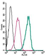 GABA(A) delta Receptor (extracellular) Antibody in Flow Cytometry (Flow)
