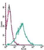 EAAT1 (GLAST) (extracellular) Antibody in Flow Cytometry (Flow)