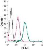 GLP1R (extracellular) Antibody in Flow Cytometry (Flow)