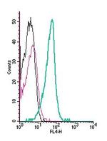 GnRH Receptor (extracellular) Antibody in Flow Cytometry (Flow)