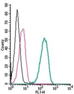 Ghrelin Receptor (GHSR) (extracellular) Antibody in Flow Cytometry (Flow)