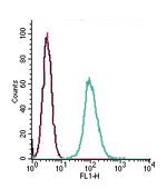 GPR132 (extracellular) Antibody in Flow Cytometry (Flow)