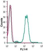 GPR4 (extracellular) Antibody in Flow Cytometry (Flow)