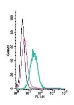 GPR4 (extracellular) Antibody in Flow Cytometry (Flow)