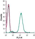 GPR68 (OGR1) (extracellular) Antibody in Flow Cytometry (Flow)