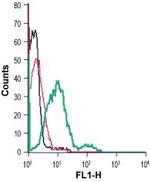 GPR56 (extracellular) Antibody in Flow Cytometry (Flow)