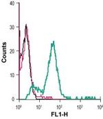 GPR56 (extracellular) Antibody in Flow Cytometry (Flow)