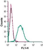 GPR84 (extracellular) Antibody in Flow Cytometry (Flow)