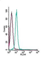GPR84 (extracellular) Polyclonal Antibody, PE