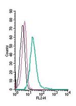 GPR84 (extracellular) Antibody in Flow Cytometry (Flow)
