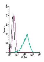 GPR84 (extracellular) Antibody in Flow Cytometry (Flow)