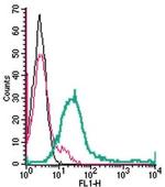 GPR171 (extracellular) Antibody in Flow Cytometry (Flow)