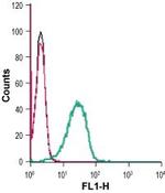 GPR34 (extracellular) Antibody in Flow Cytometry (Flow)