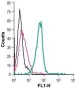 GPR34 (extracellular) Antibody in Flow Cytometry (Flow)