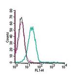 GPR174 (extracellular) Antibody in Flow Cytometry (Flow)