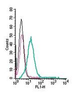 GPR174 (extracellular) Antibody in Flow Cytometry (Flow)