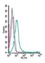 GPR174 (extracellular) Antibody in Flow Cytometry (Flow)
