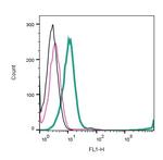 GPR183 (extracellular) Antibody in Flow Cytometry (Flow)