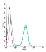 GPR142 (extracellular) Antibody in Flow Cytometry (Flow)