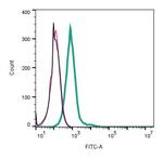 GPR142 (extracellular) Antibody in Flow Cytometry (Flow)