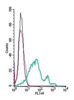GPR108 (extracellular) Antibody in Flow Cytometry (Flow)