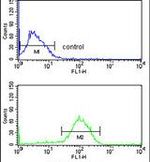 AGR3 Antibody in Flow Cytometry (Flow)