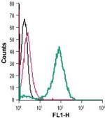 GLUT3 (extracellular) Antibody in Flow Cytometry (Flow)