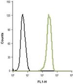 HVCN1 Antibody in Flow Cytometry (Flow)