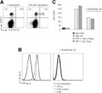 IFN alpha Antibody in Flow Cytometry (Flow)