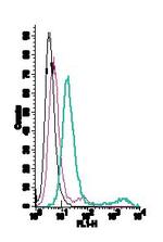 Histamine H1 Receptor/HRH1 (extracellular) Antibody in Flow Cytometry (Flow)