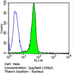 p27 Kip1 Antibody in Flow Cytometry (Flow)