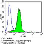 p27 Kip1 Antibody in Flow Cytometry (Flow)