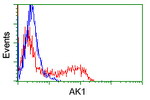 AK1 Antibody in Flow Cytometry (Flow)